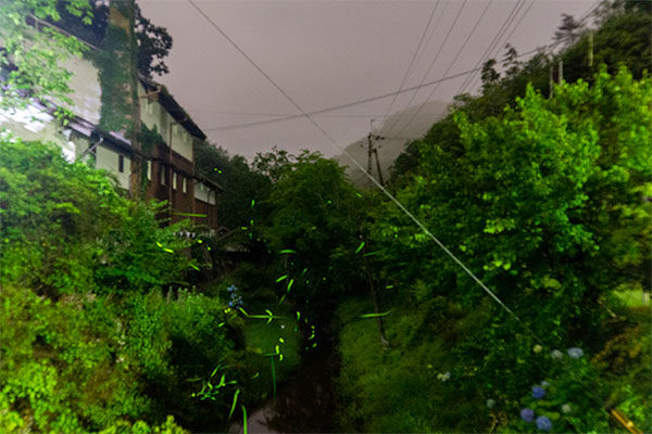 DSC06730