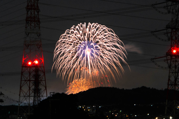 花火20240626202510