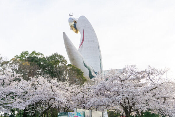 万博記念公園に「ファンタズーマ」ってアクティビティ施設ができるみたい。今春オープン予定