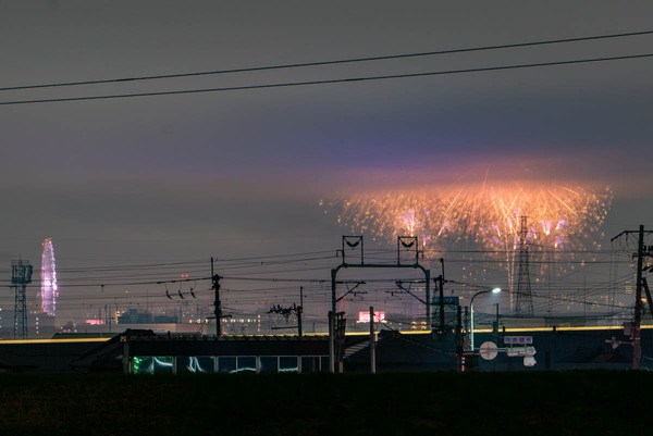 花火-2403234