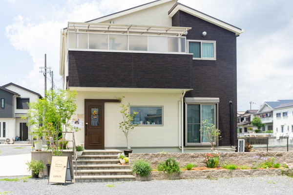 ブラウンクローバー -230624-1