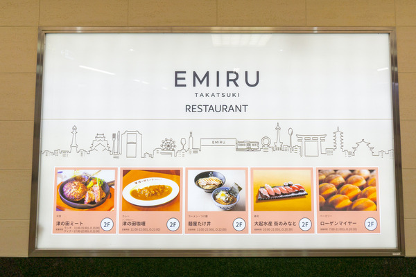 EMIRU-20111871