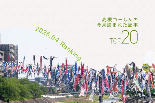 アクセス解析2025