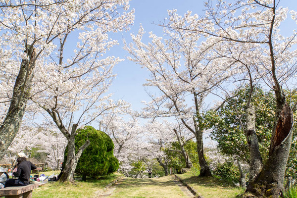 摂津峡20230330011718