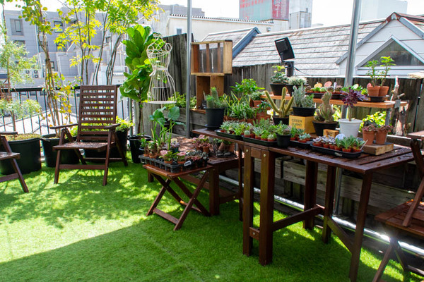 GREEN MIND-202107155