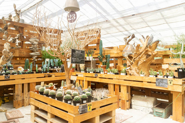 THEFARM20230822110758