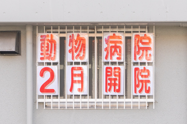 動物病院-2101074