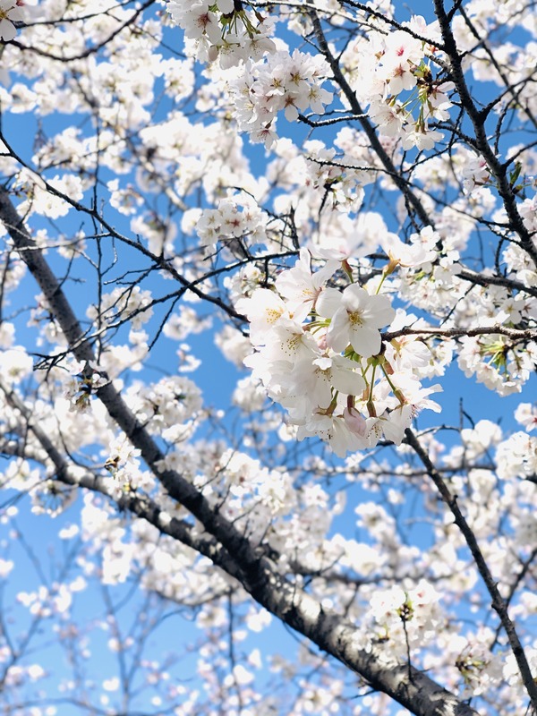 AC2AF4C7-47D3-475B-9BBF-59B1F7460C89