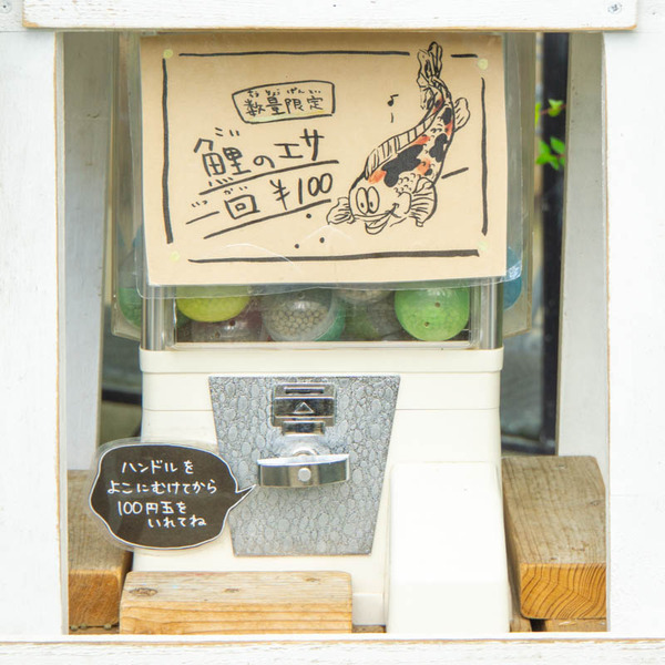 THEFARM20230822105702