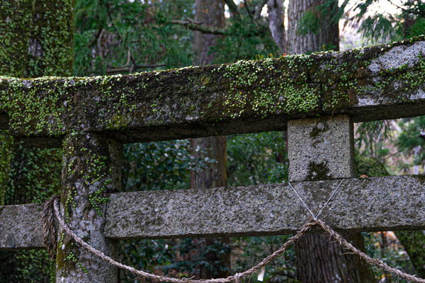 -素盞嗚神社-2012112