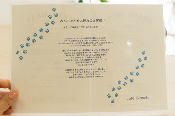カフェ20240626115049