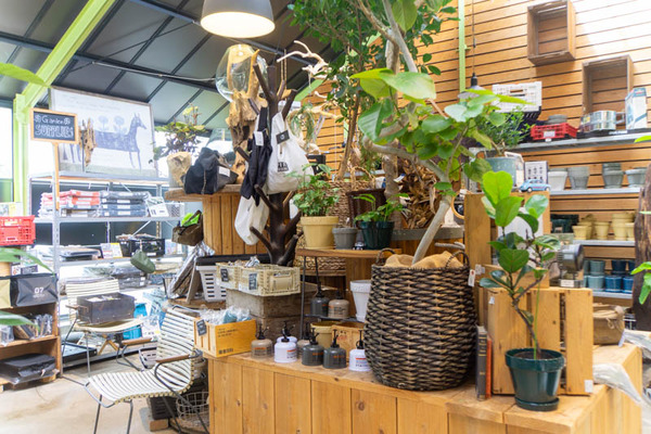 THEFARM20230822111846