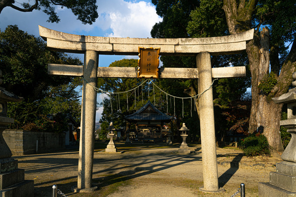 春日神社-2012223