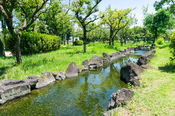 せせらぎ公園-2021080529