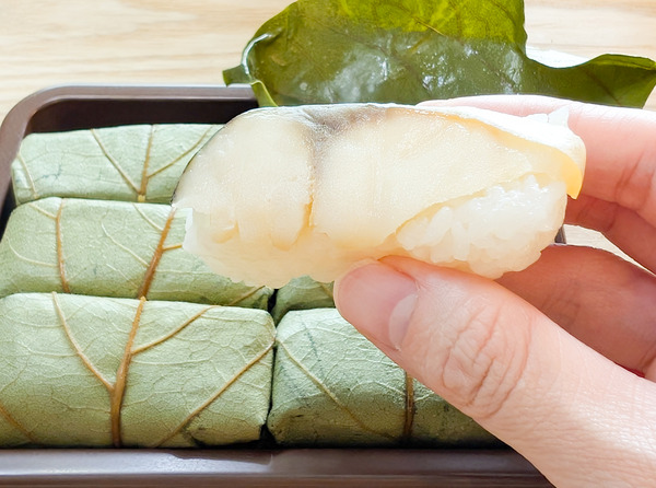 PXL_20250624_044253195 (2)