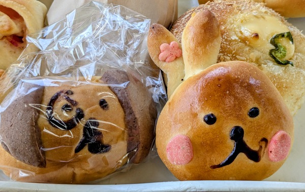 PXL_20251210_005016203~2