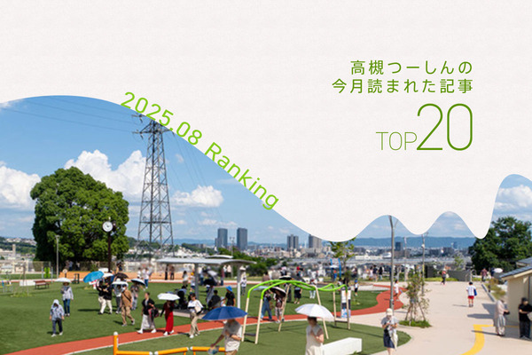 アクセス解析2025