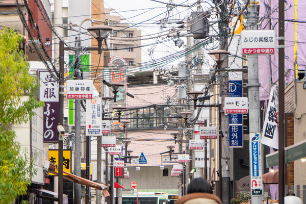 サムネ20240306115952