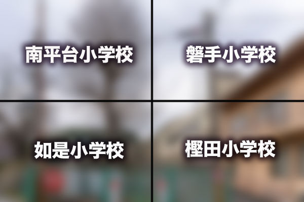 39f77f0f-s