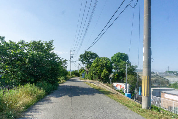 ブルーベリーファーム20210609160333