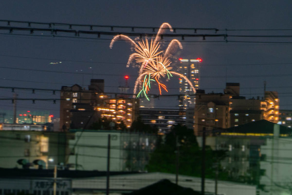 花火-2405042