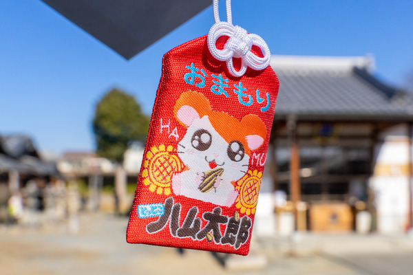 阿久刀神社-2101159