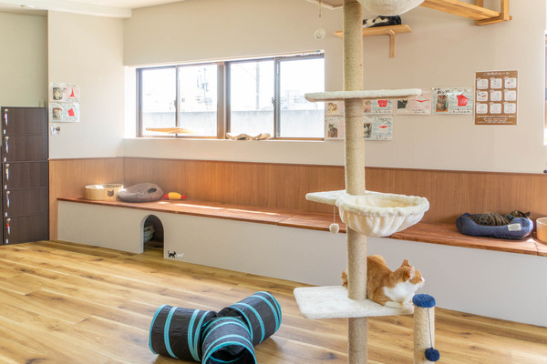 cherish20240417113755