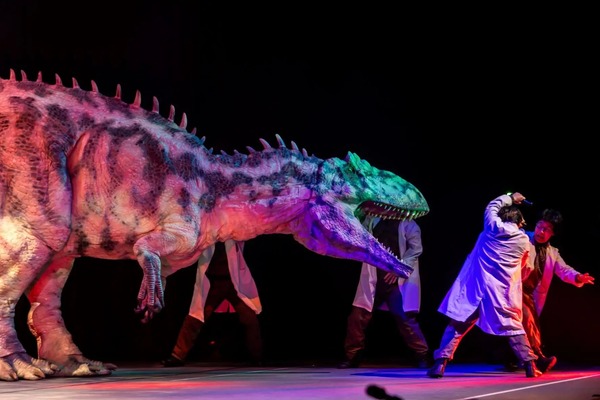 11710-3740-cf21493d8dbf0b00d826b5ce0b7b7014-1773x1182