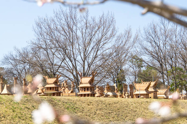 今城さくら20230322235052