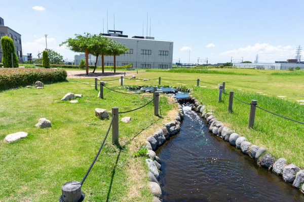 せせらぎ公園-2021080537