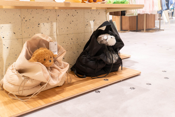 ロペピクニック20250331090605