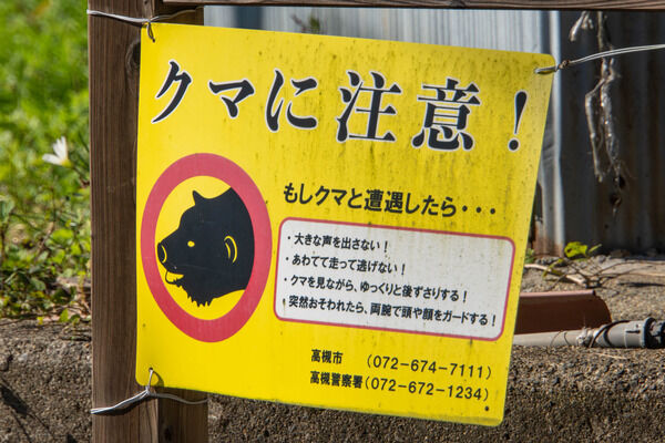 クマ