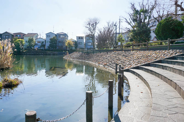 清水池公園-2021121410