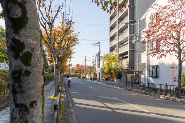 真上町に「N CAFE 2号店」ができるみたい。8月8日オープン予定