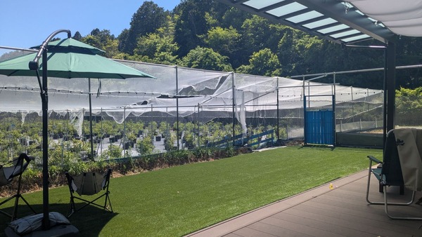 北摂ブルーベリーガーデン 田能 入り口
