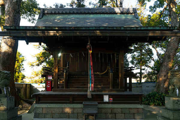 春日神社-20122212