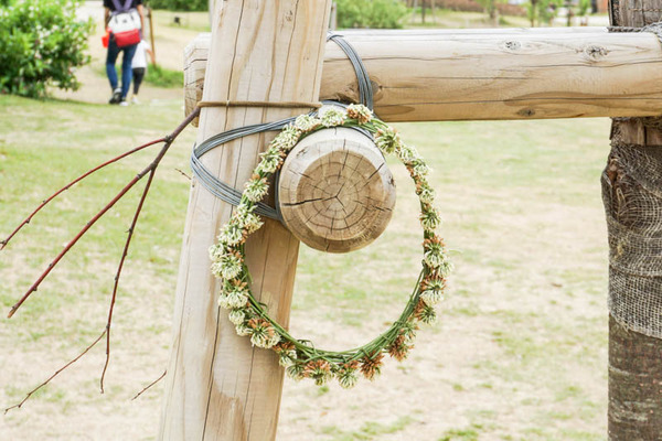 シロツメクサ-2022051617