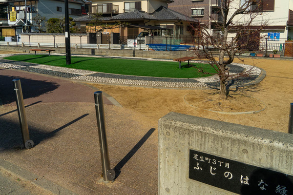 ふじのはな-2401091