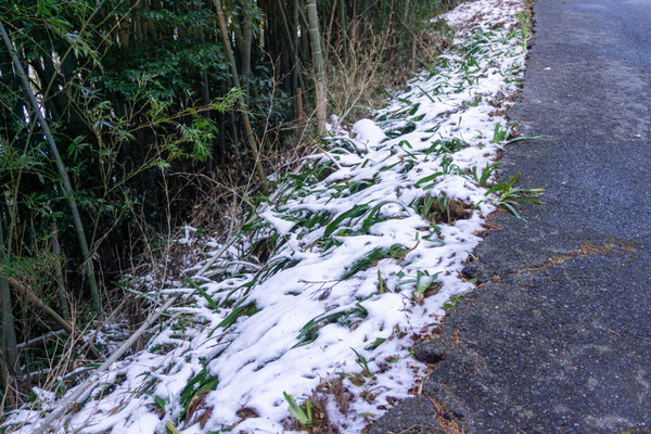 雪20220113095117
