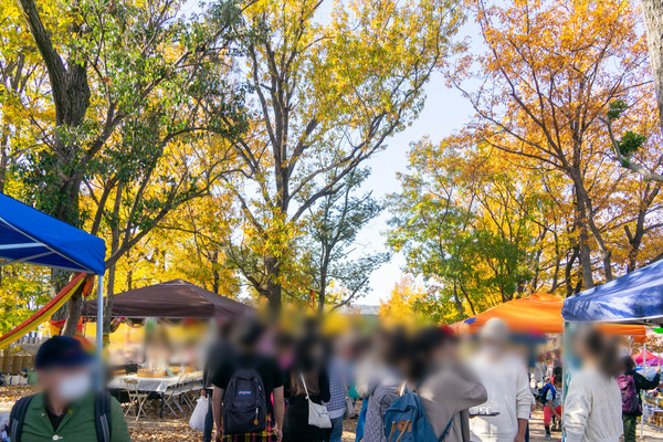 はにこっと-22112732