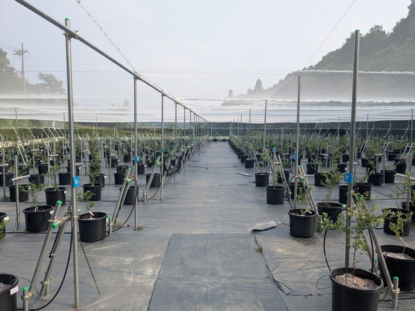 PXL_20250705_072733515