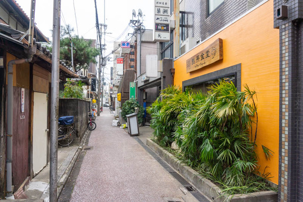 熱帯食堂20220117145212