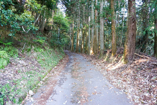 地獄谷峠-2022041617