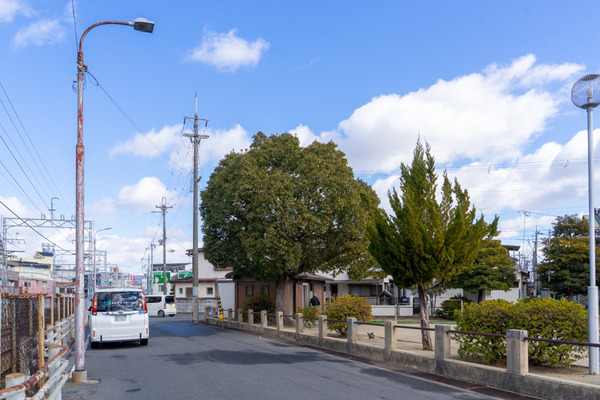 富寿栄公園-21011912