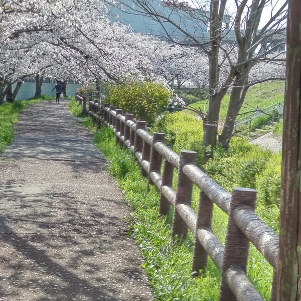 IMG_20230401_111705_616