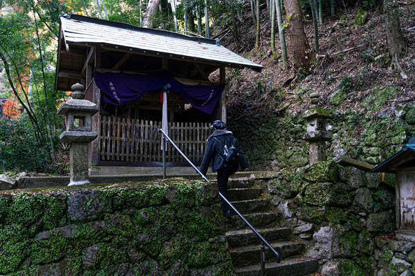 -素盞嗚神社-2012115