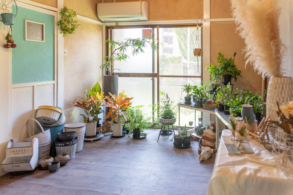 merryplants20240619102458