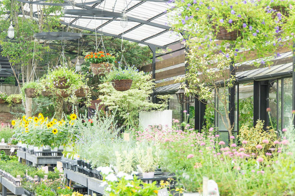 THEFARM20230822105630