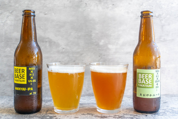BEERBASE20240823140233