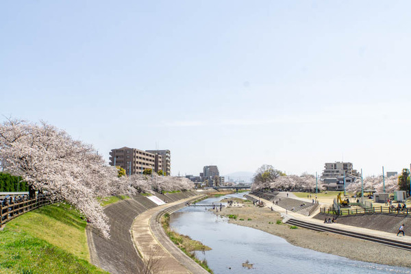 桜堤20230330005112